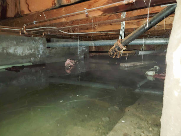 Best Water damage restoration near me  in Piedmont, OK