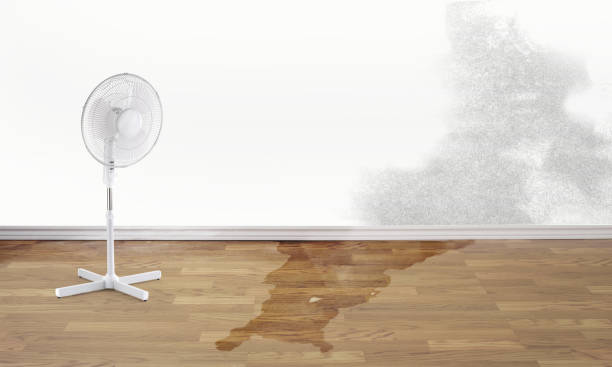  Piedmont, OK Water damage restoration Pros