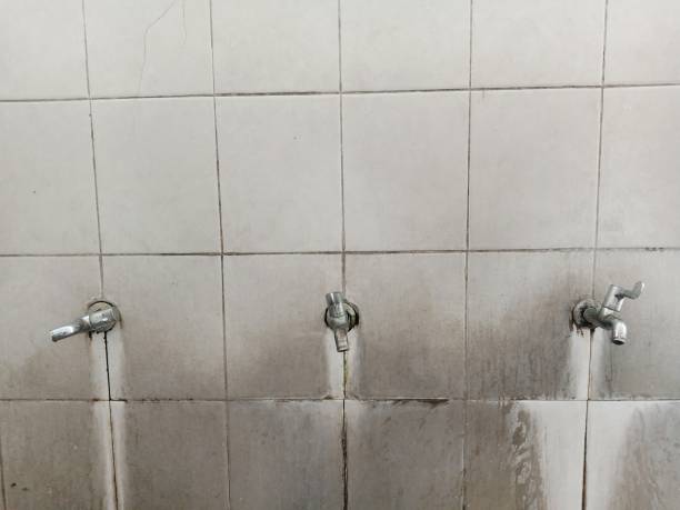 Best Water damage cleanup near me  in Piedmont, OK