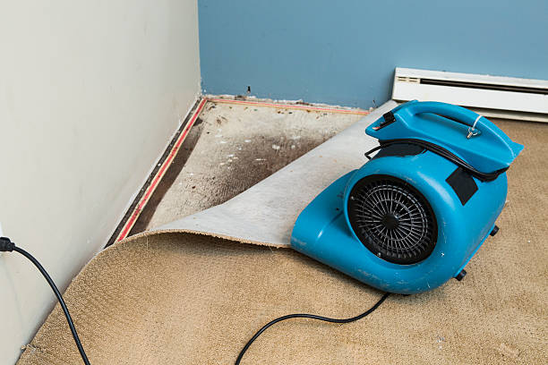 Best 24/7 water damage repair  in Piedmont, OK